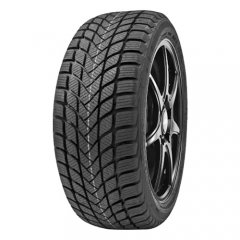 Delinte Winter WD6