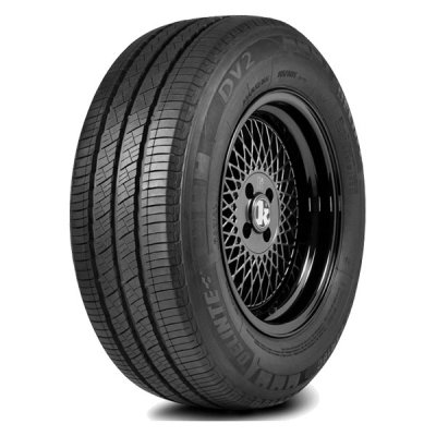 Delinte DV2