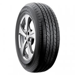 Toyo Transpath R30