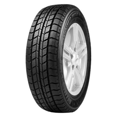 Delinte Winter WD2